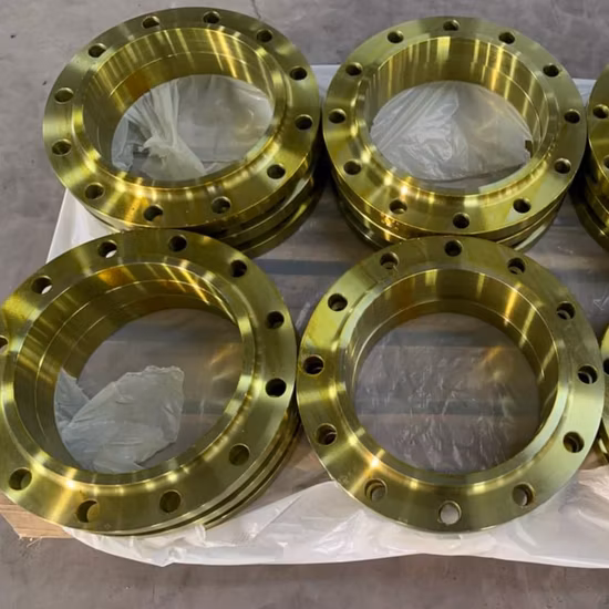 Flangia ANSI B16.5 Pn10 RF in acciaio al carbonio A105 Th per progetti di impianti.  Utilizzare flangia filettata in acciaio inossidabile